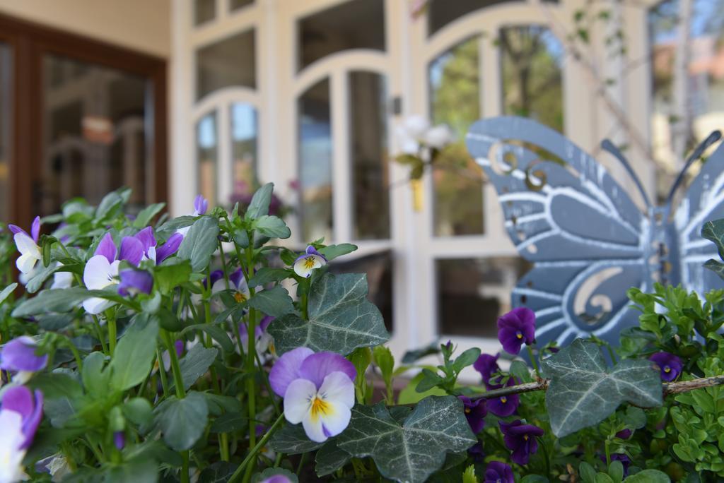 Guest House Romantika Panzio Gyula Dış mekan fotoğraf
