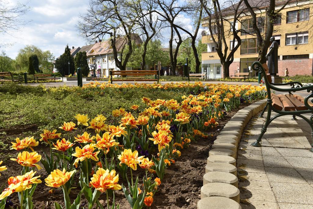 Guest House Romantika Panzio Gyula Dış mekan fotoğraf